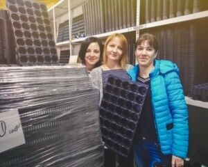 Кассеты для рассады оптом